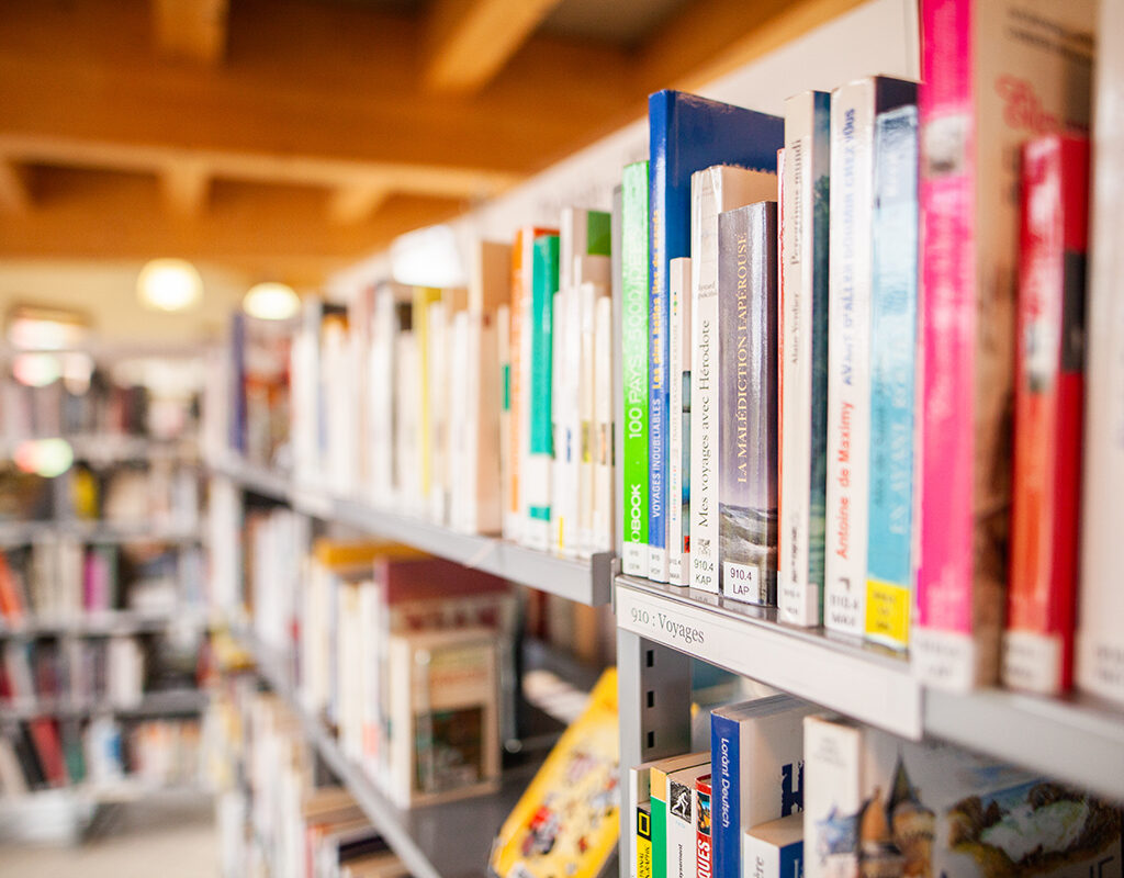 ‘Gender Queer’ tops list of most challenged library books: American Library Association