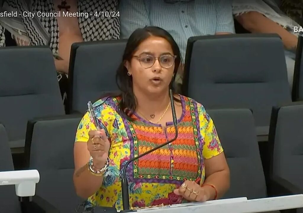 Anti-Israel activist slapped with 18 felonies for threatening to ‘murder’ city council