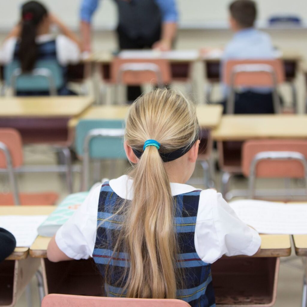 Private schools cultivating more engaged citizens that public schools: study