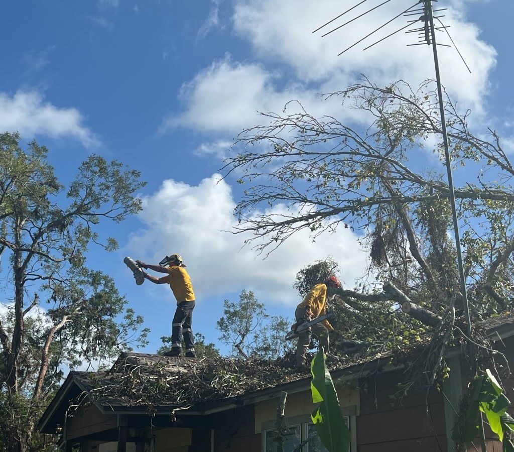 Baptists help neighbors in need after Hurricane Beryl; Texans on Mission prepare 60K meals