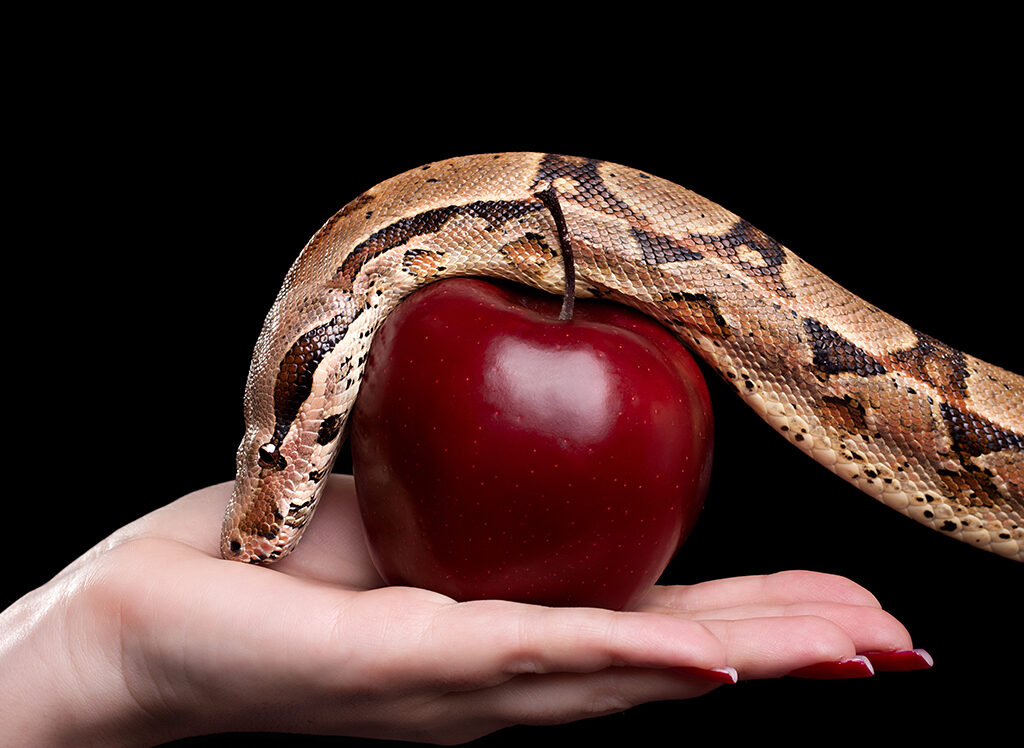 The most miserable people on the planet are born-again people who do this