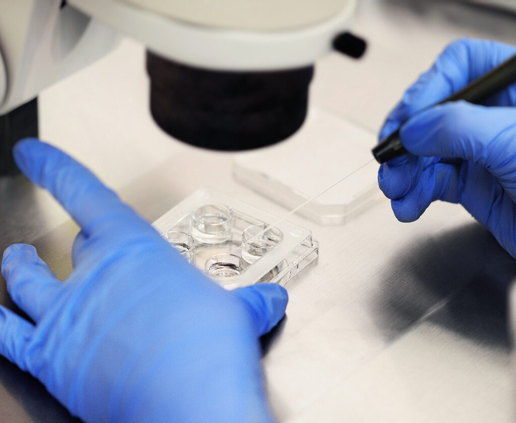 Pro-life groups say Trump’s IVF executive order the ‘wrong way’ to address infertility